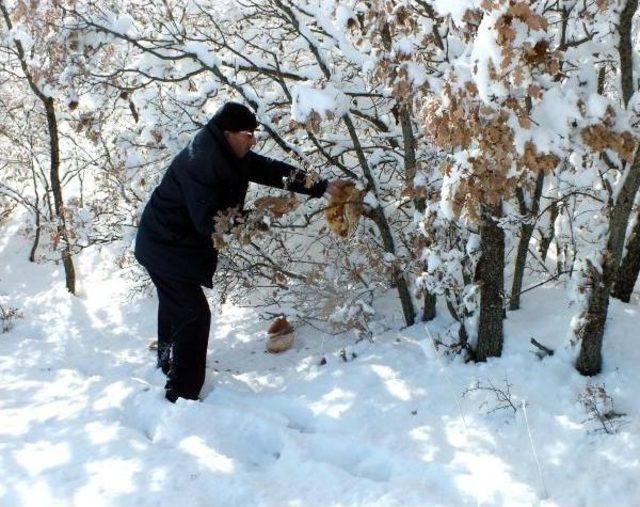 Doğaya Yiyecek Bırakan Ekibin Aracı Kara Saplandı