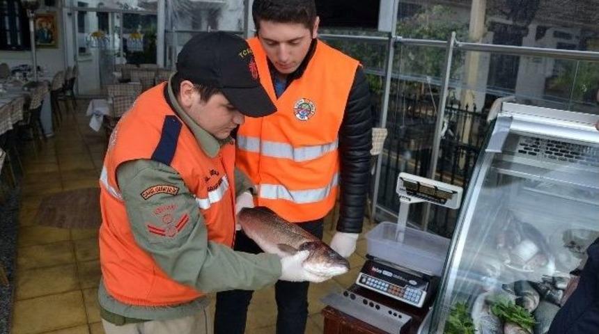 K&uuml;&ccedil;&uuml;k Boy Balık Satan İşletmelere 3 Bin 339 Tl Para Cezası