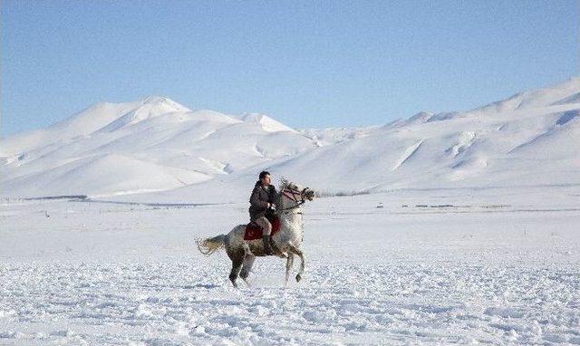 Erzurum’da Kar Üzerinde Cirit