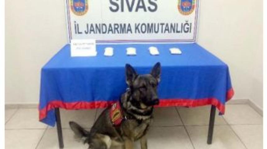 Yolcu Otobüsünde Uyuşturucu Ele Geçirildi