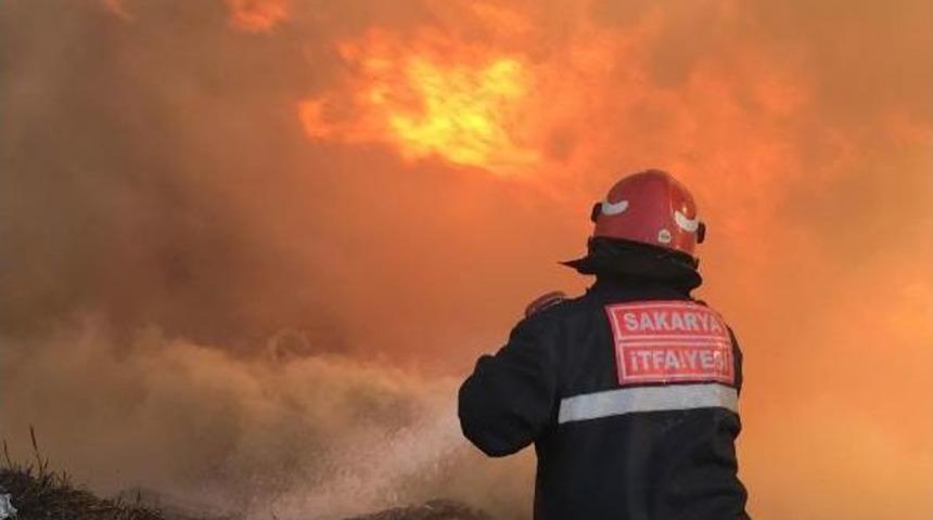 Palet Üretim Imalathanesi Yandı