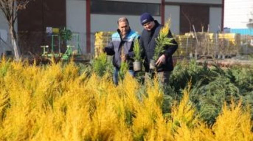 Nil&uuml;fer Belediyesi 19 Bin Fidan Dağıtacak