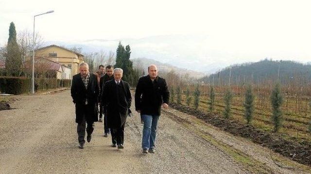 Zonguldak’ta Ginseng Potansiyel Deneme Sahaları Tespit Edildi