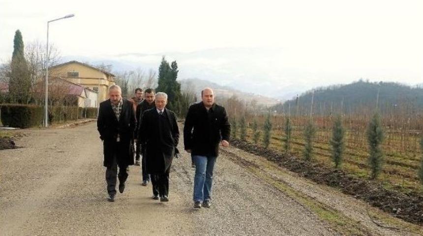 Zonguldak&rsquo;ta Ginseng Potansiyel Deneme Sahaları Tespit Edildi