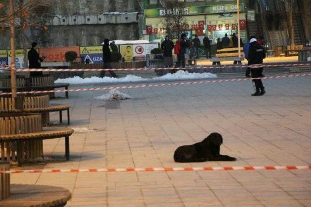 Bolu'da Şüpheli Poşet Paniği