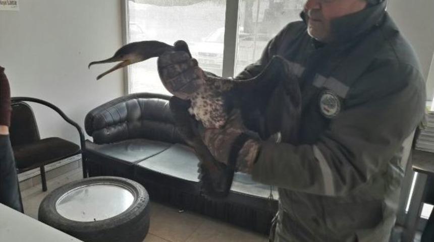 Avcılar Vurdu, İtfaiye Kurtardı