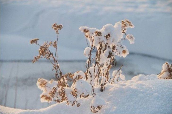 Sibirya Değil Göle G1