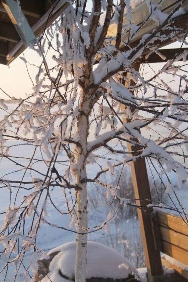 Sibirya Değil Göle G5