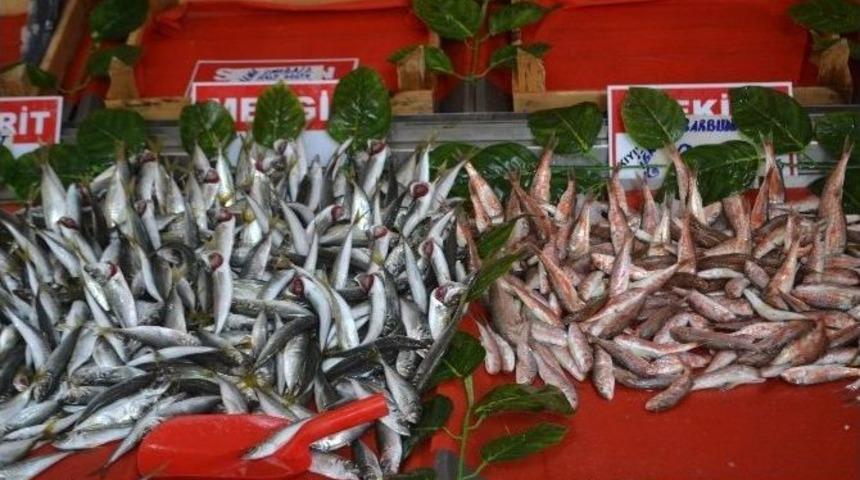 Balık&ccedil;ılar İ&ccedil;in 2016 Yılı 2015&rsquo;e G&ouml;re Daha İyi Ge&ccedil;ti