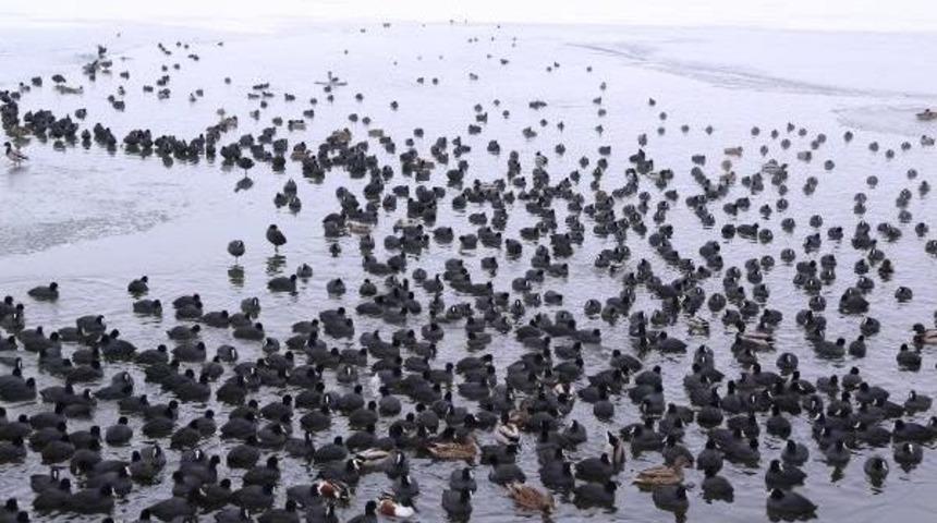 Donan Mogan G&ouml;l&uuml; Havadan G&ouml;r&uuml;nt&uuml;lendi