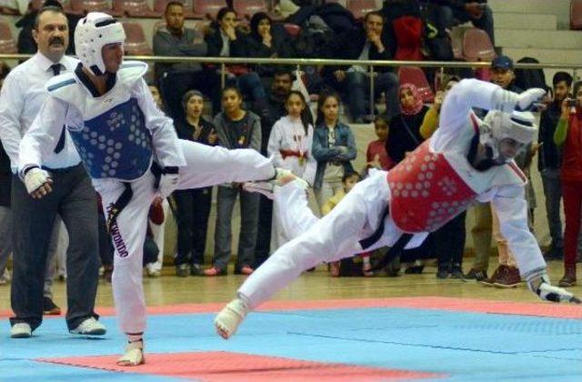 Kayserili Taekwondocular Analig I&ccedil;in Yarıştı 1
