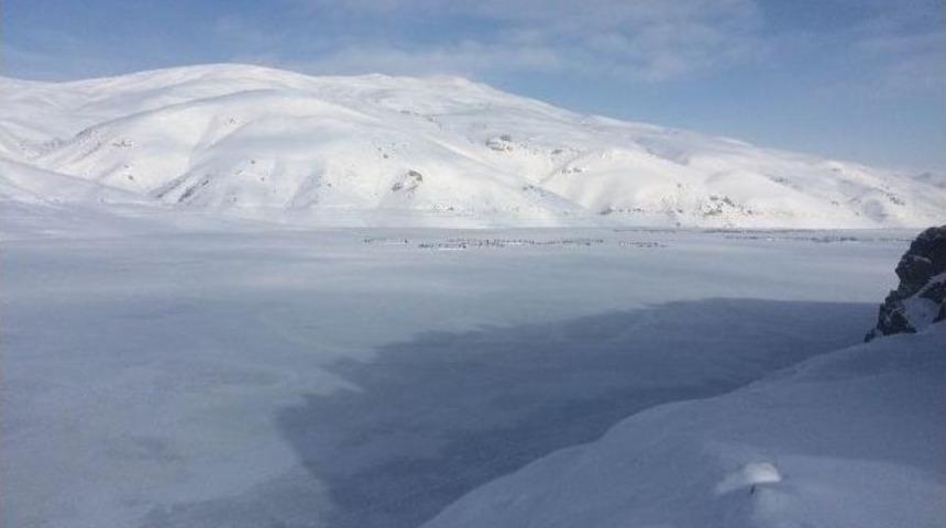 Aşırı Soğuklar Sarımehmet Barajını Dondurdu