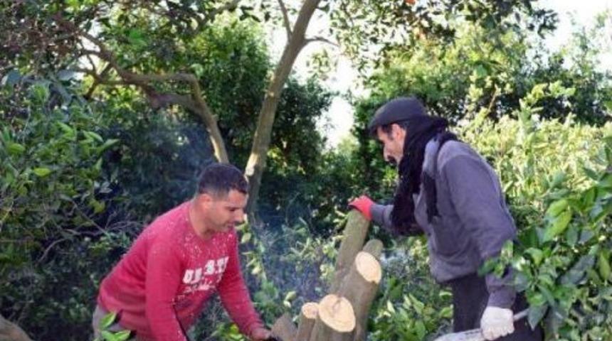 27 Yılda 4 Milyon Hektar Tarım Alanı Yok Oldu