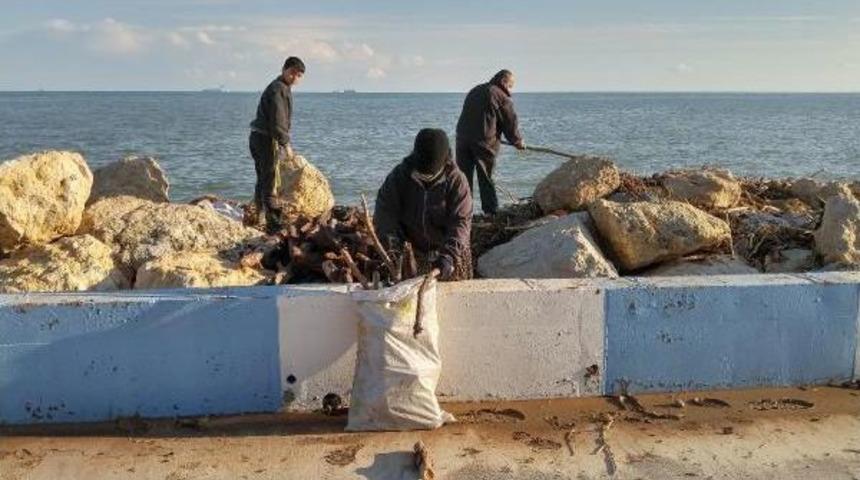 Selin Sahile Taşıdığı Ağa&ccedil; Dalları, Dar Gelirli Aileleri Isıtacak