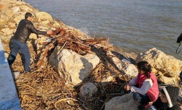 Selin Sahile Taşıdığı Ağa&ccedil; Dalları, Dar Gelirli Aileleri Isıtacak 1