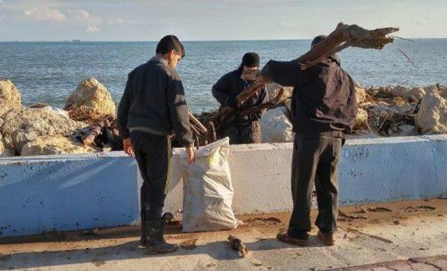 Selin Sahile Taşıdığı Ağa&ccedil; Dalları, Dar Gelirli Aileleri Isıtacak 2