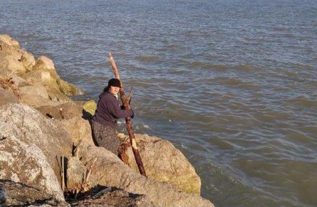 Selin Sahile Taşıdığı Ağa&ccedil; Dalları, Dar Gelirli Aileleri Isıtacak 3