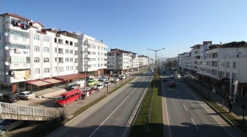 Ordu Tek Renk