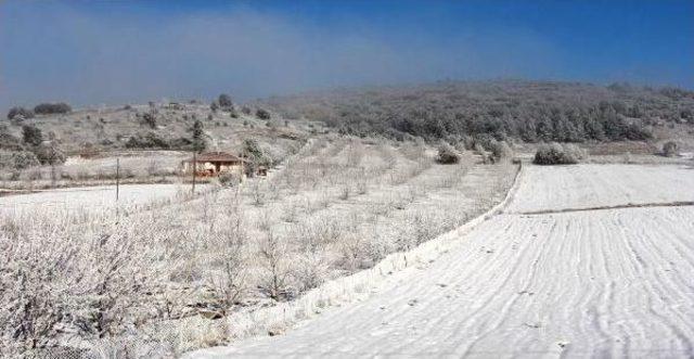 Ona&ccedil; G&ouml;l&uuml; n&uuml;n Y&uuml;zeyi Buz Tuttu 2
