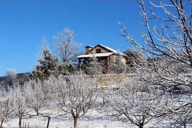 Ona&ccedil; G&ouml;l&uuml; n&uuml;n Y&uuml;zeyi Buz Tuttu 3