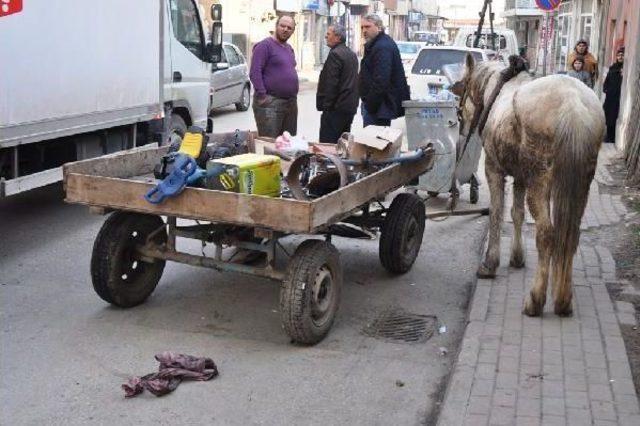 Kamyonet Çarpan At Arabasından Düşen Kadın Yaralandı