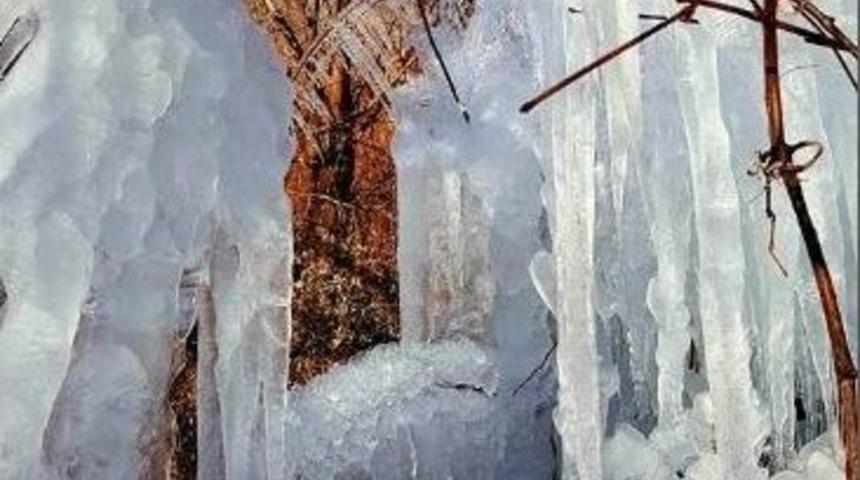 Sınır Boylarını Buz Kesti