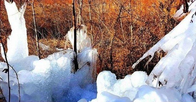 Sınır Boylarını Buz Kesti 1