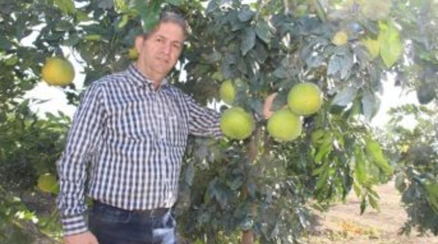 &Ccedil;ukurova Yağmura Doydu