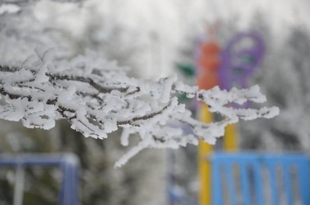 Ağa&ccedil;larda Kar &Ccedil;i&ccedil;ekleri