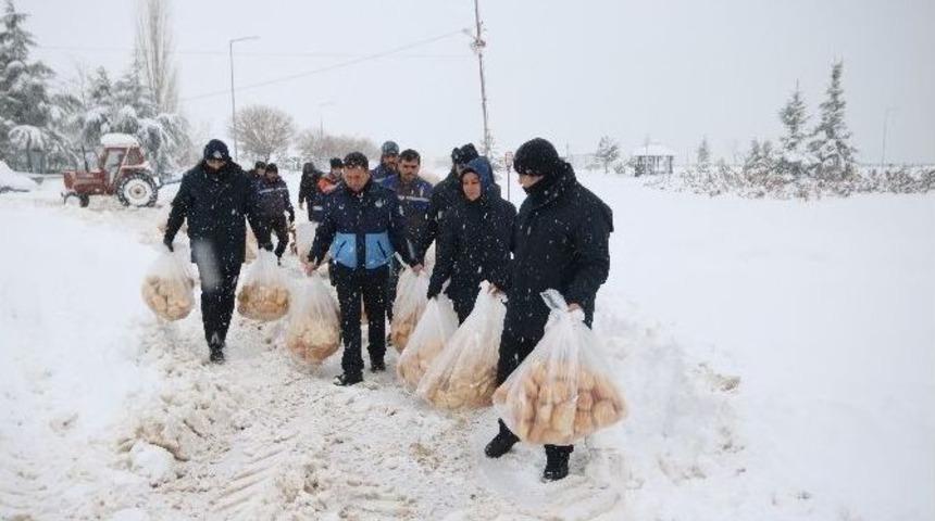 Beyşehir&rsquo;de Sokak Hayvanları Ve Su Kuşları Unutulmadı
