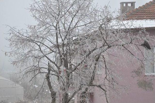 Balıkesir’de Sis Etkili Oluyor