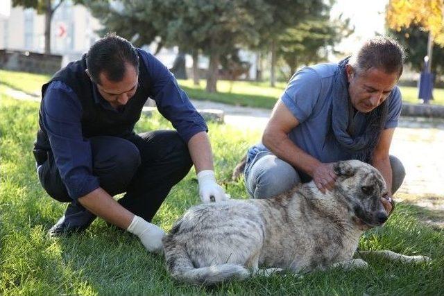 Odunpazarı Belediyesi Kırsal Hizmetler Müdürlüğü’nün Çalışmaları