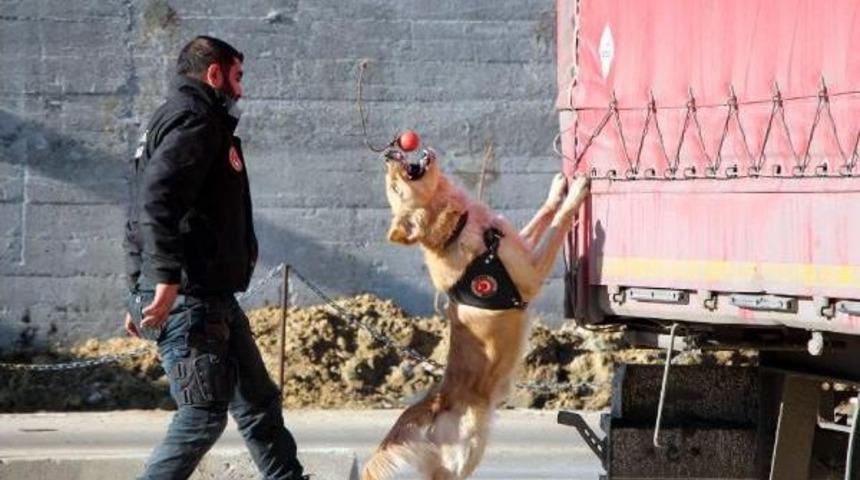 G&uuml;mr&uuml;k M&uuml;d&uuml;rl&uuml;ğ&uuml;'nde 'asil'in Yerine 'barut' G&ouml;revde