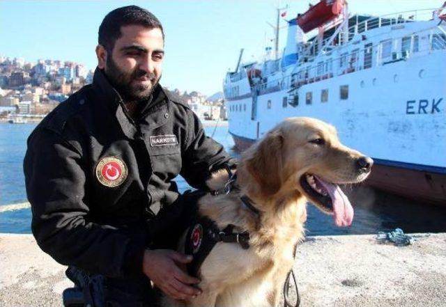 G&uuml;mr&uuml;k M&uuml;d&uuml;rl&uuml;ğ&uuml; nde  asil in Yerine  barut  G&ouml;revde 3