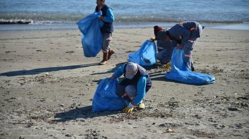 Alanya Belediyesi&rsquo;nden Plaj Temizliği