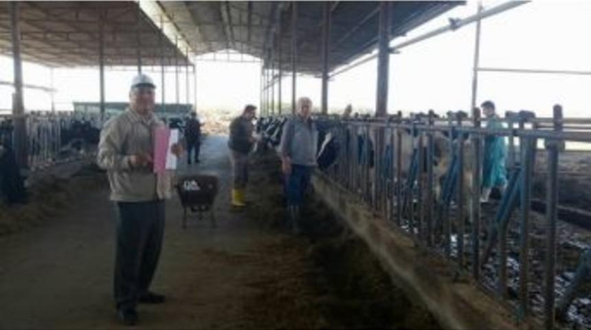 S&ouml;ke Ziraat Odası 6 Kuruşluk &Ccedil;iğ S&uuml;t Zammını Beğenmedi