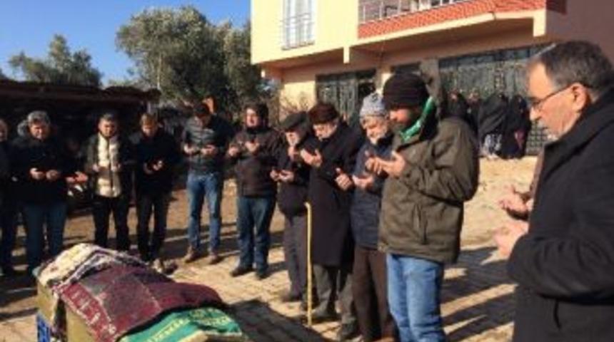 29 Torun Sahibi Asırlık &Ccedil;ınar Toprağa Verildi