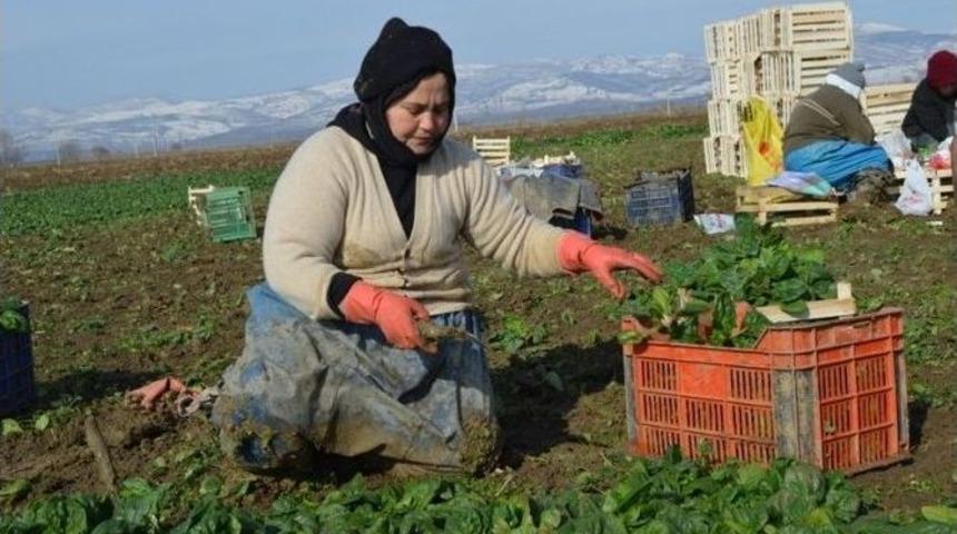 &Ouml;nder &Ccedil;ift&ccedil;iler Geliyor