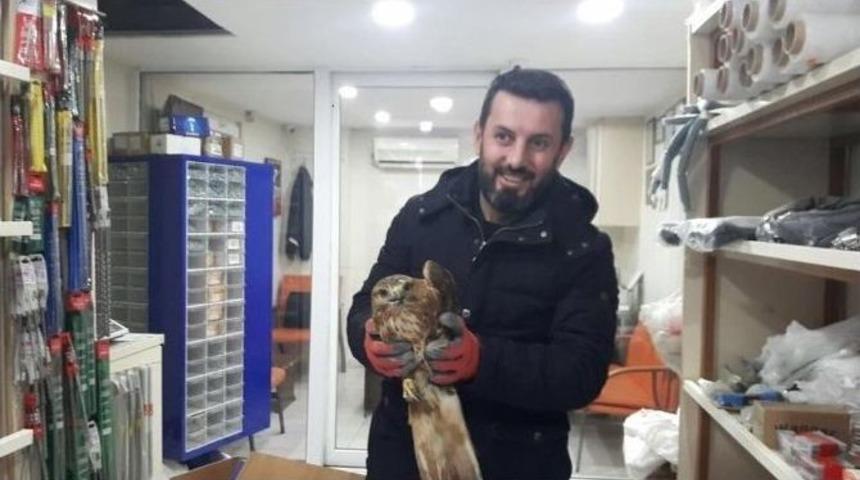 Yaralı Doğana Sahip &Ccedil;ıktı