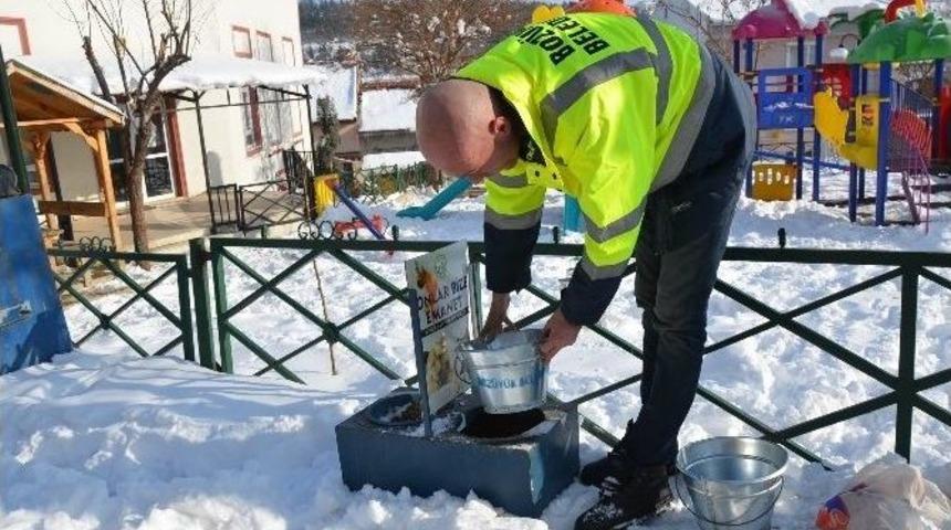 Sokak Hayvanları Unutulmadı