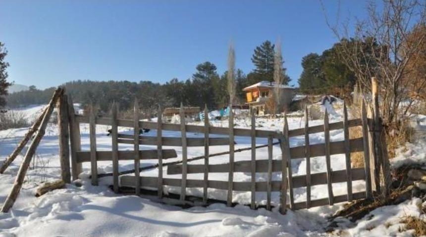 Bulgar Margarita, Denizli'de Doğal Tarım Yapıyor