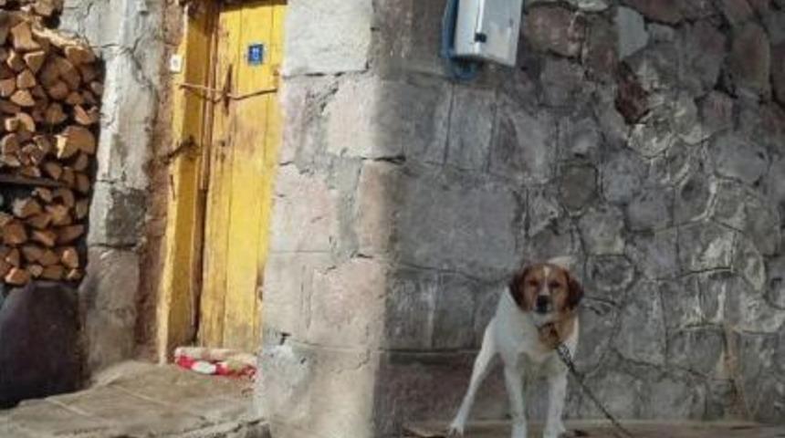 Sayaç Okumaya Giden Görevliye Köpekle Engel Oluyorlar