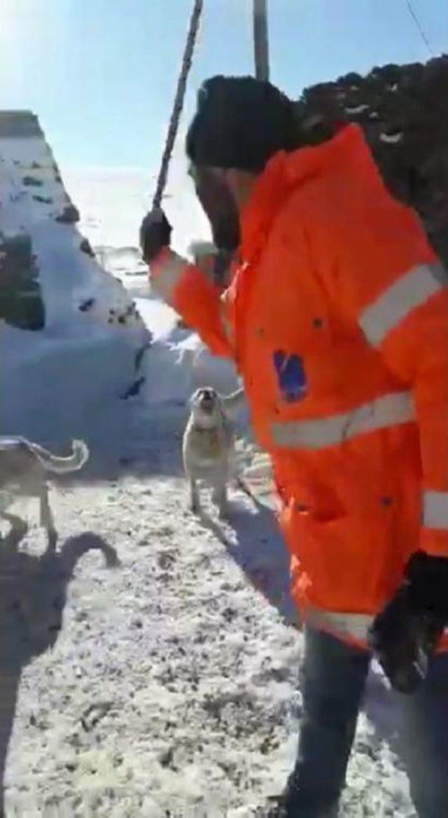 Sayaç Okumaya Giden Görevliye Köpekle Engel Oluyorlar