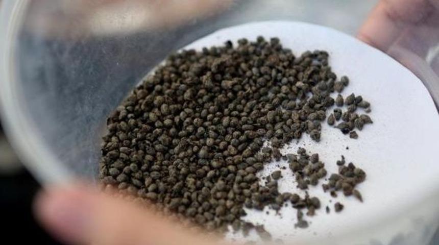 Yeşilova H&ouml;y&uuml;ğ&uuml;&rsquo;Ne Ziyaret&ccedil;i Akını