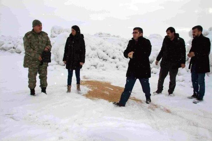 Başkan Çetin Yabani Hayvanlar İçin Doğaya Yem Bıraktı G1