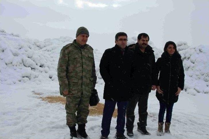 Başkan Çetin Yabani Hayvanlar İçin Doğaya Yem Bıraktı G4