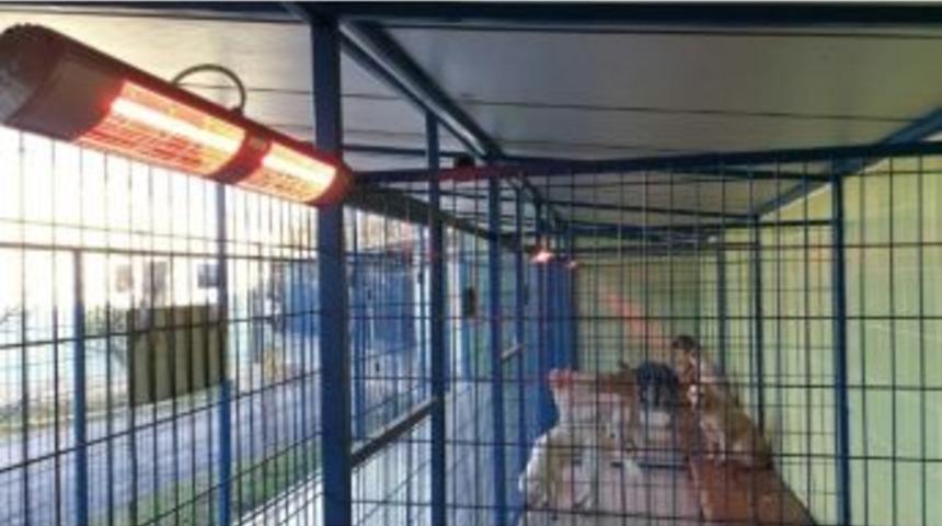 B&uuml;y&uuml;kşehir&rsquo;den Sokak Hayvanlarına Elektrikli Isıtıcı Desteği