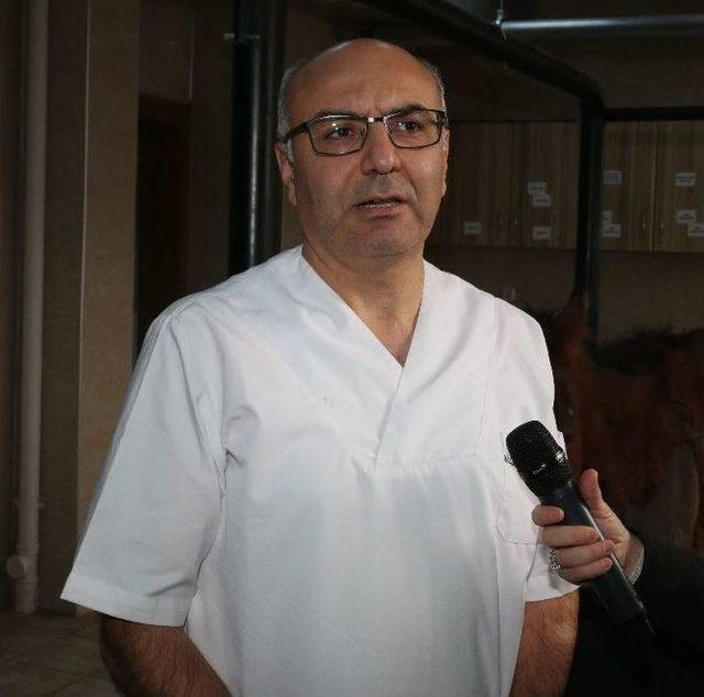 Erü Veteriner Fakültesi Eğitim Araştırma Ve Uygulama Hastanesi 7/24 Acil Hizmeti Veriyor 2