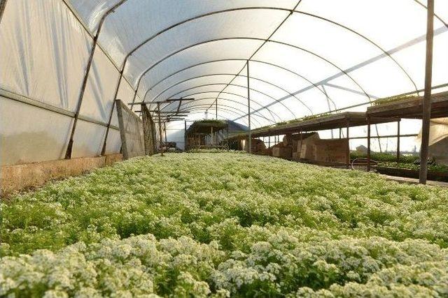 Başkan B&ouml;cek, 2016 Yılındaki &Ccedil;alışmaları Anlattı 2