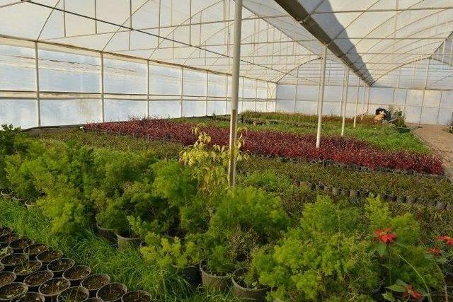 Başkan B&ouml;cek, 2016 Yılındaki &Ccedil;alışmaları Anlattı 3